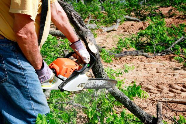 Landscape Design and Installation in Madison Lake, MN